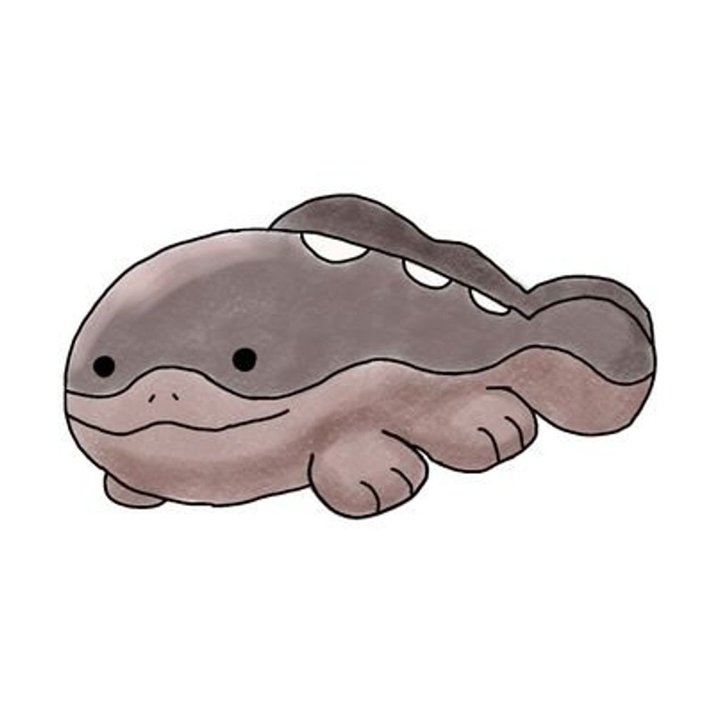 もちこめこ