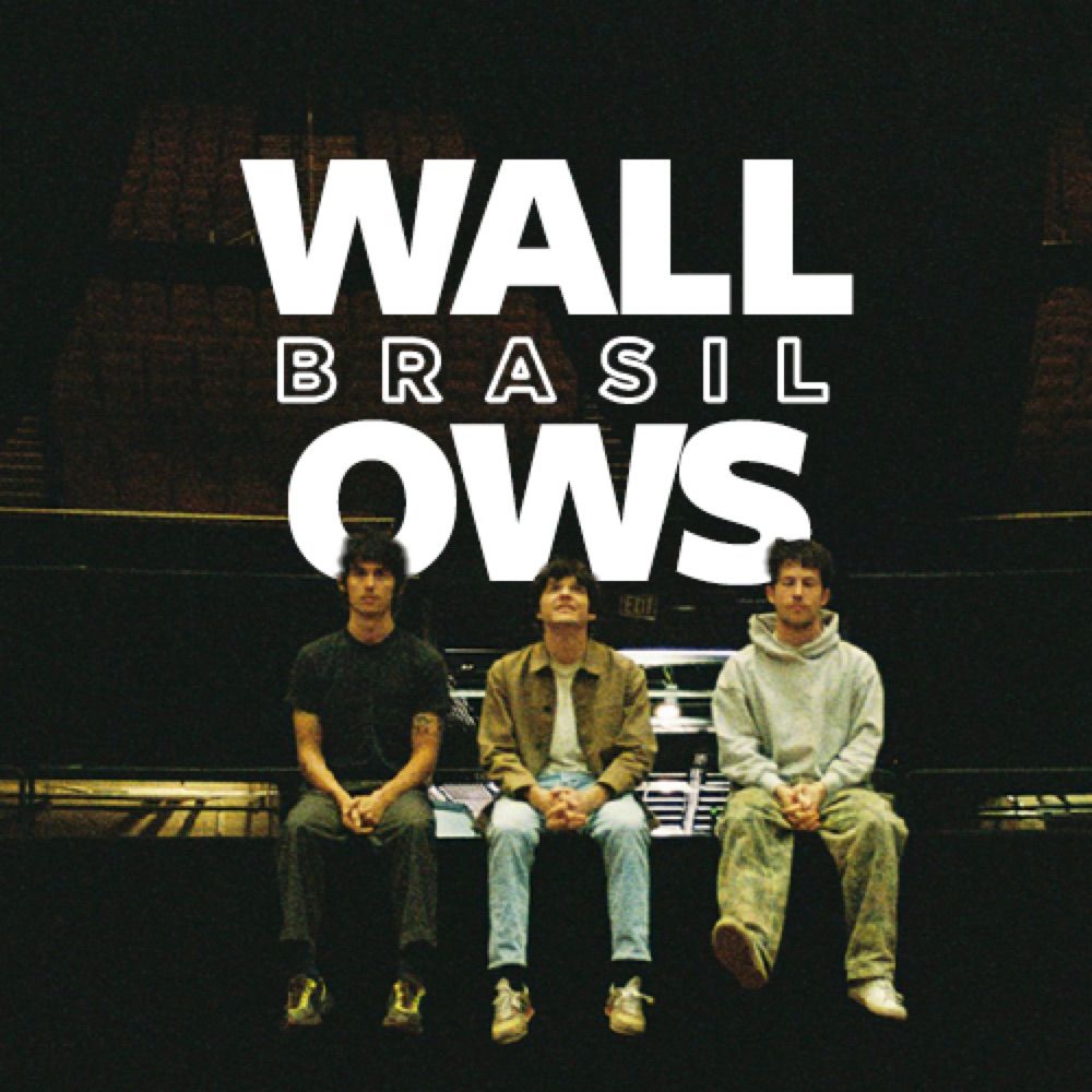 Wallows Brasil 🇧🇷