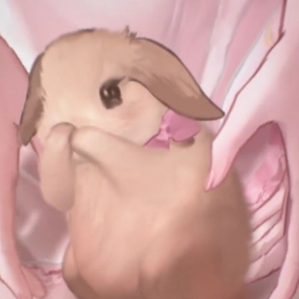 🐰