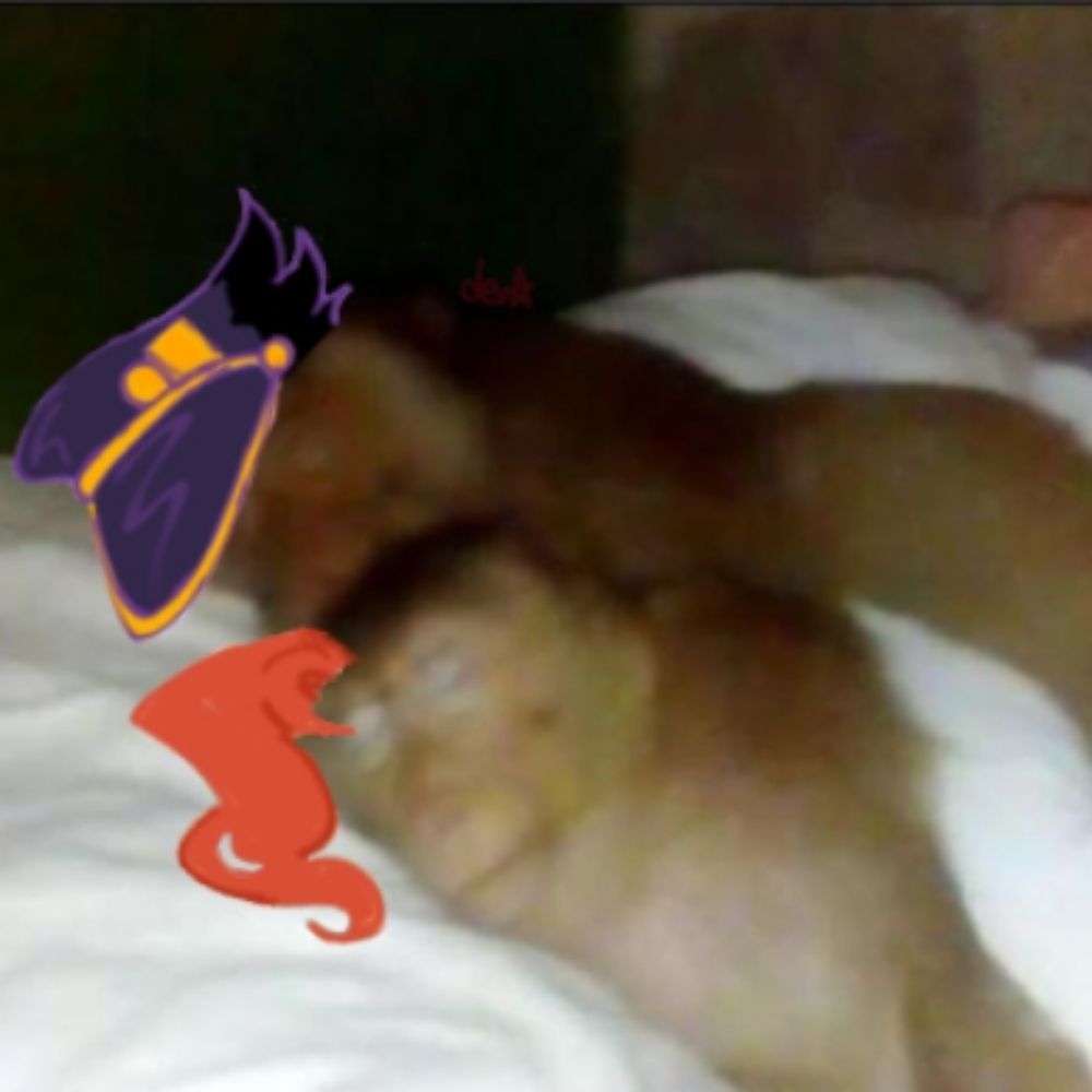 dev