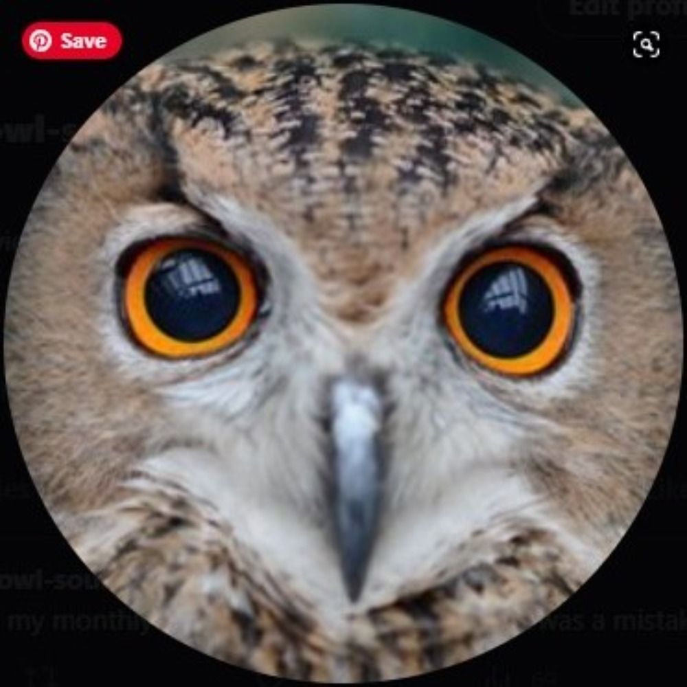 Owl Sounds