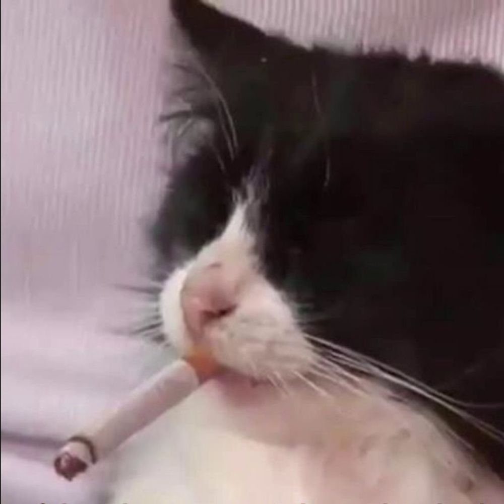Dee