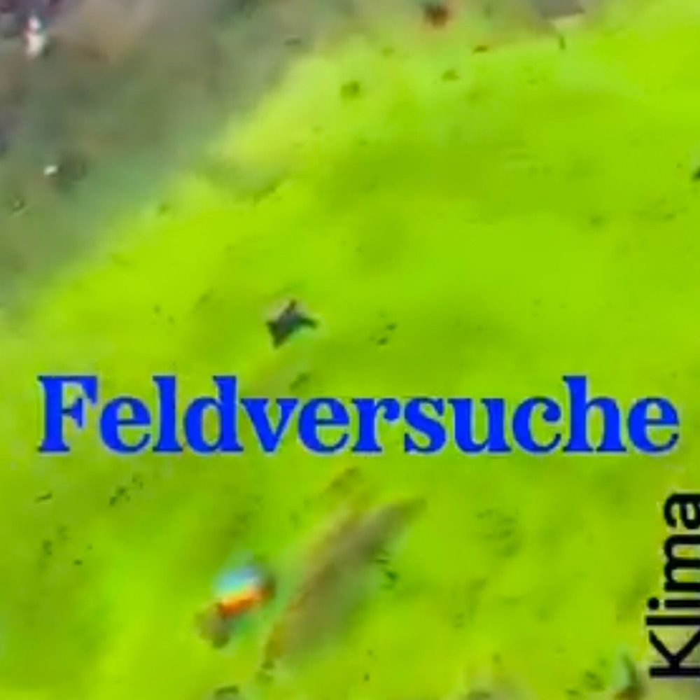 Feldversuche Symposium