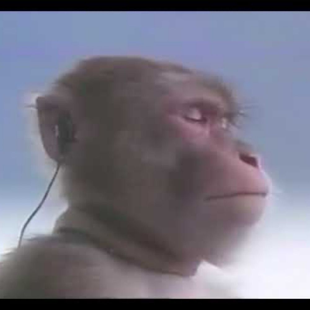 paul