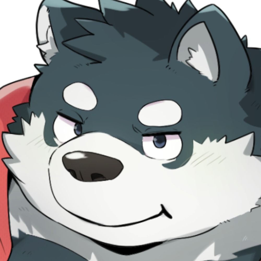 noc's avatar