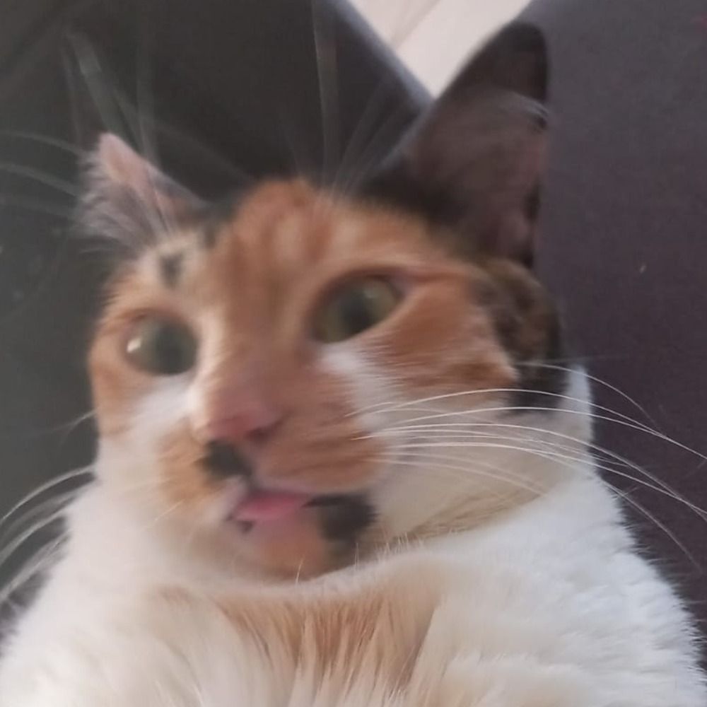 bianca