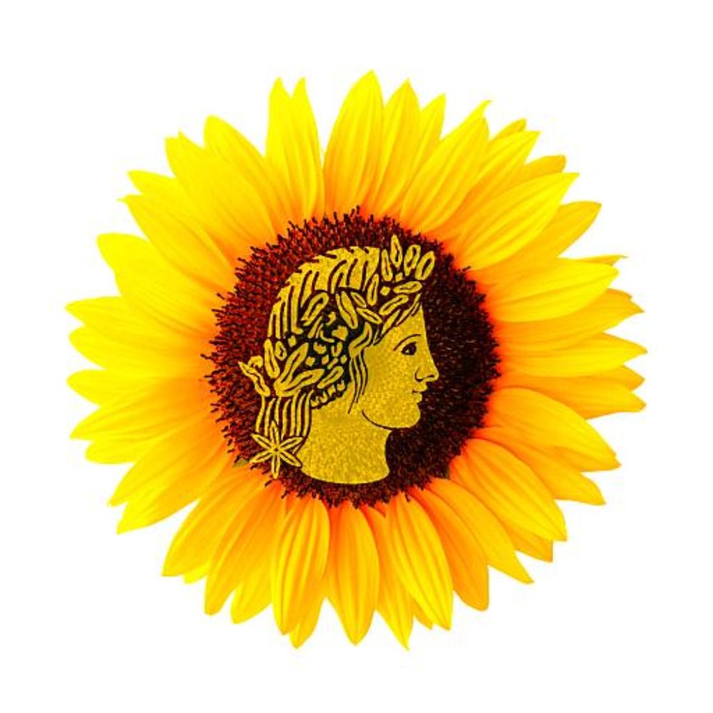 Blog Cerespain