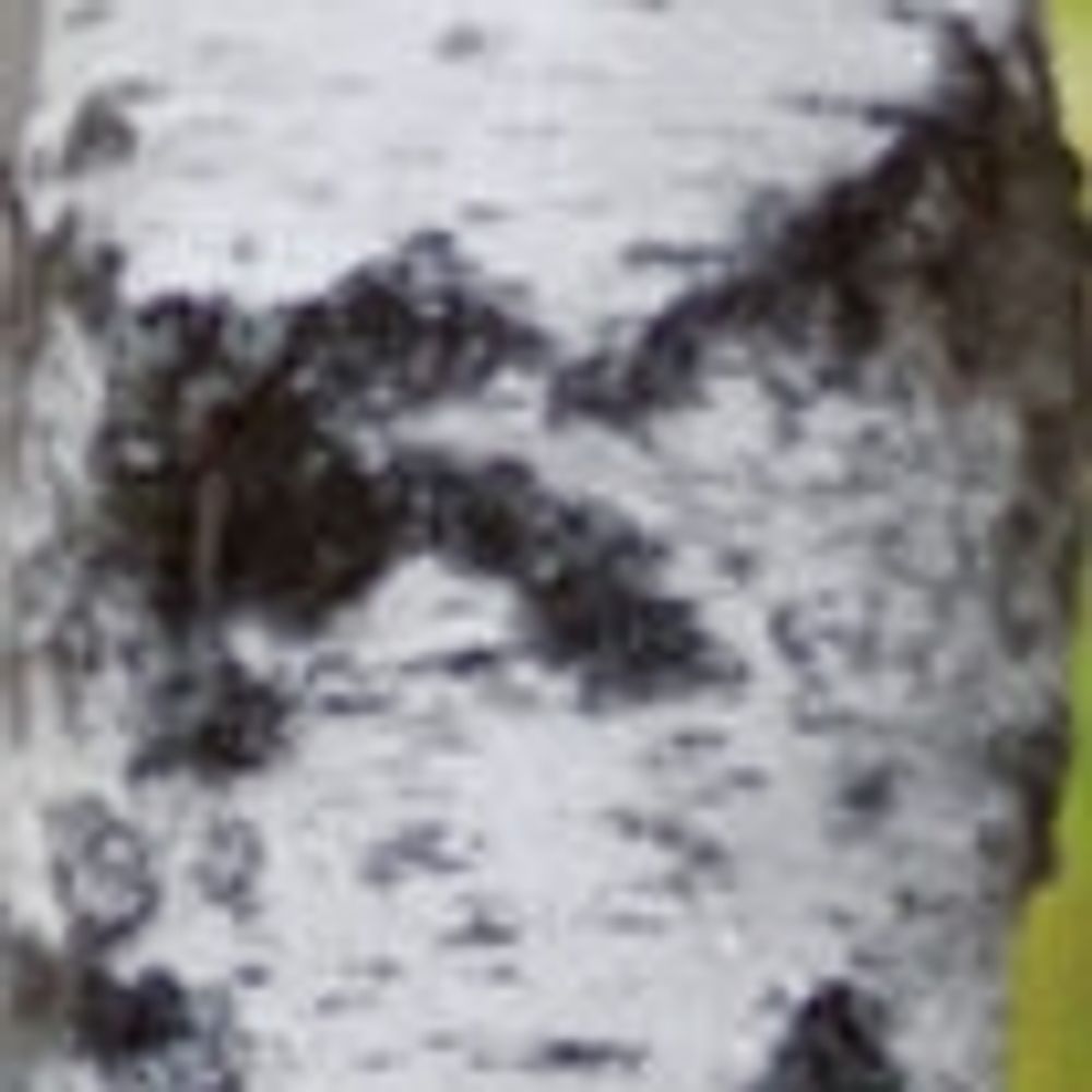 markerlamps.bsky.social