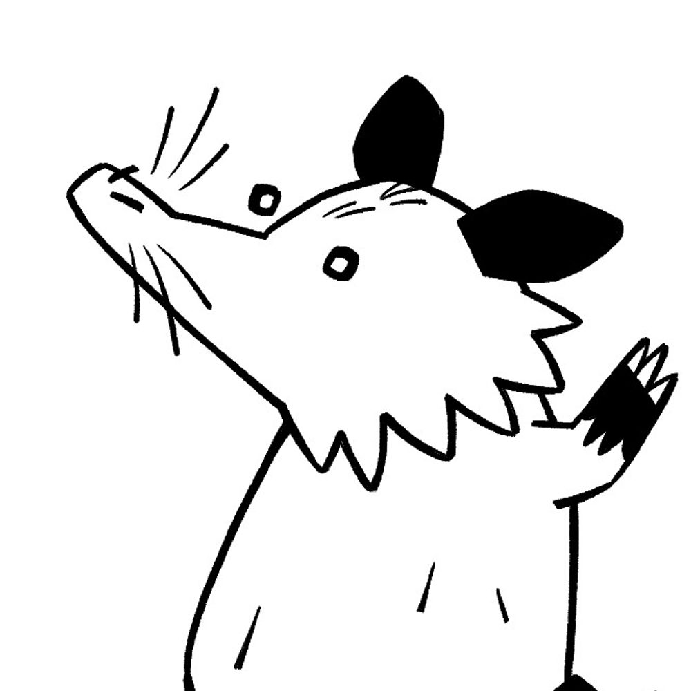 Posing Possums's Avatar