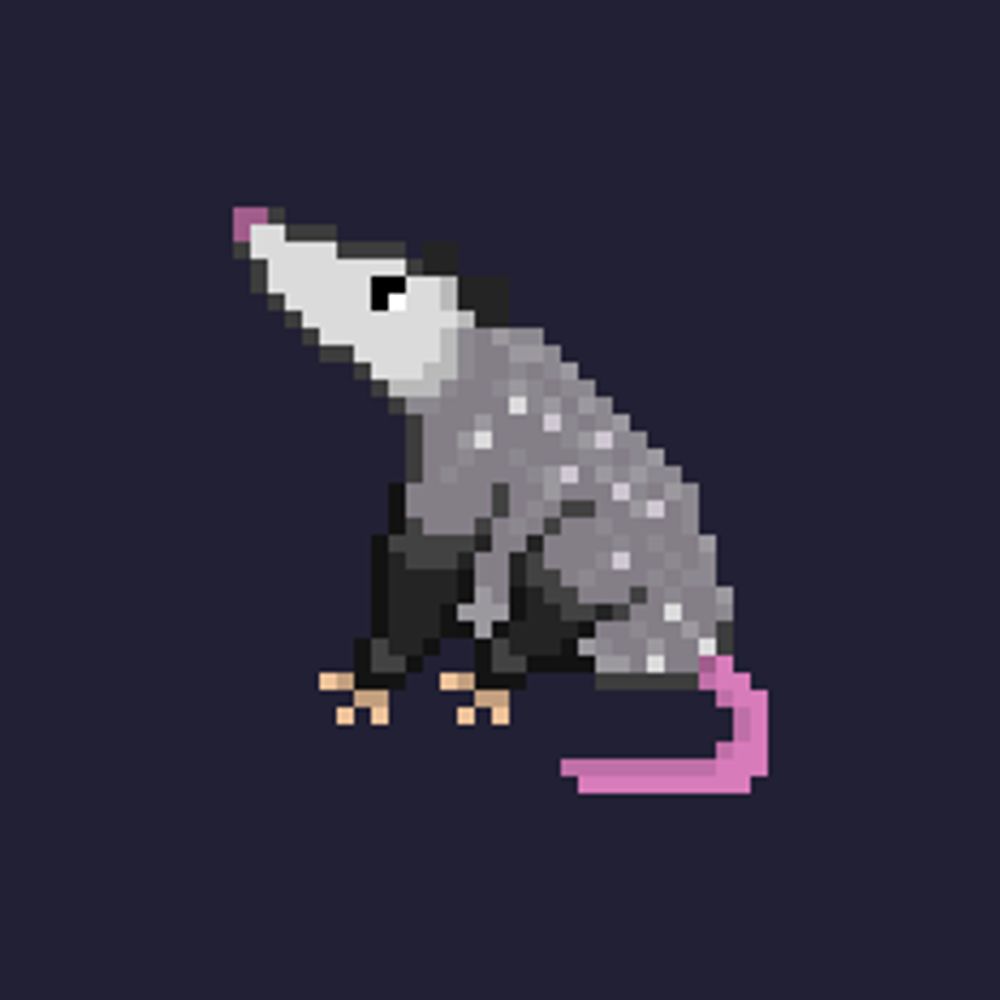 Posing Possums