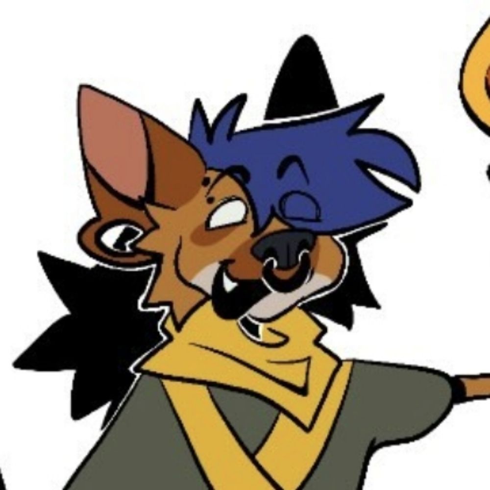dingo ⁉️