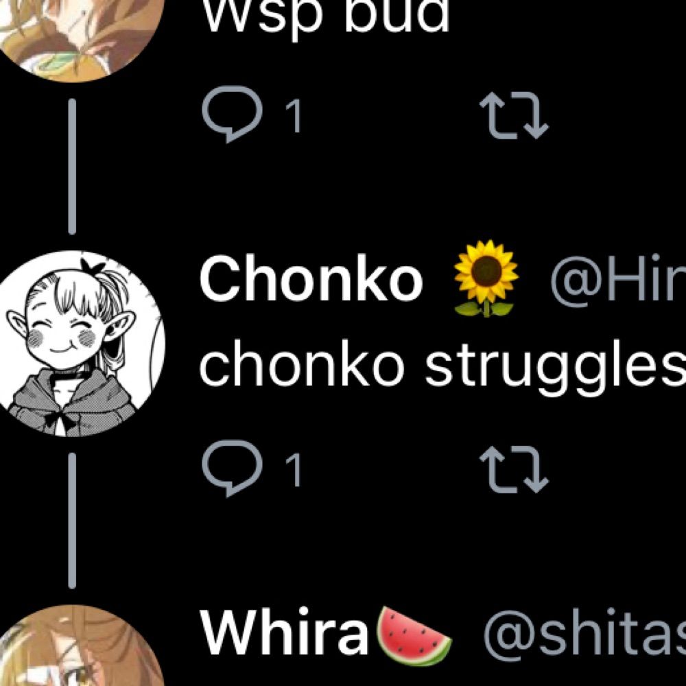 ChonkoStruggles