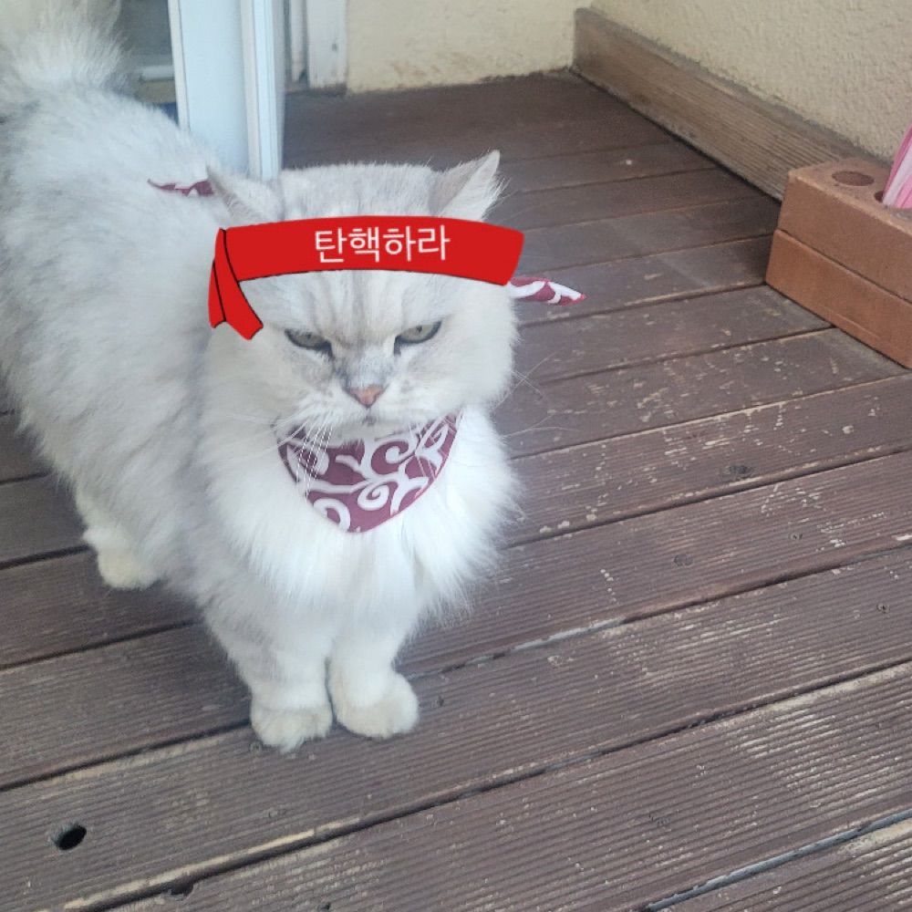 정철수 (비번까먹음)