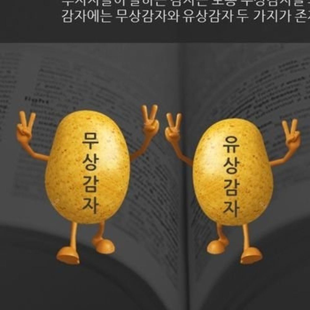 아말감