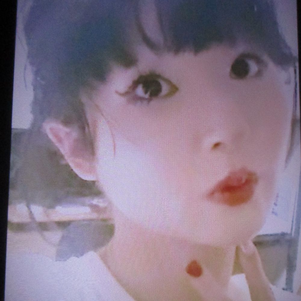 キレ汰ぬこ