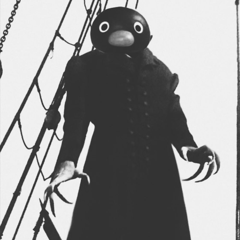 Noot The Rich