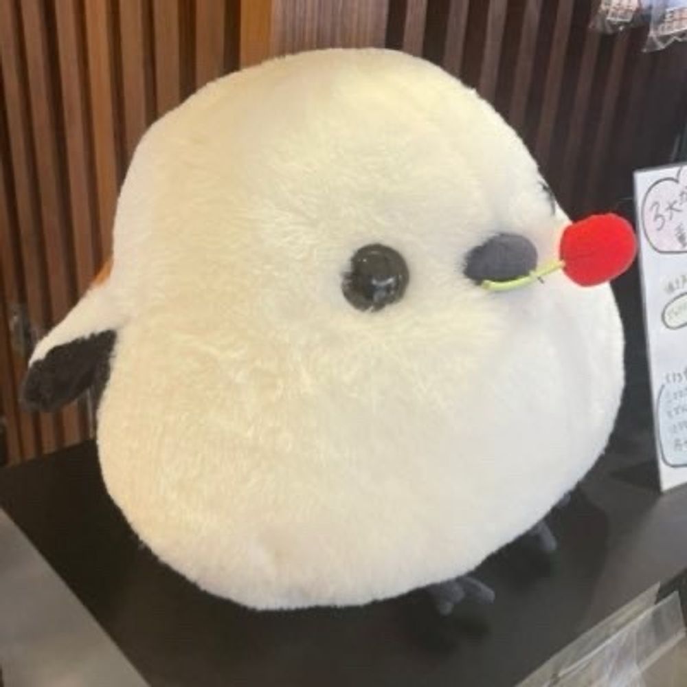 ゆとりん