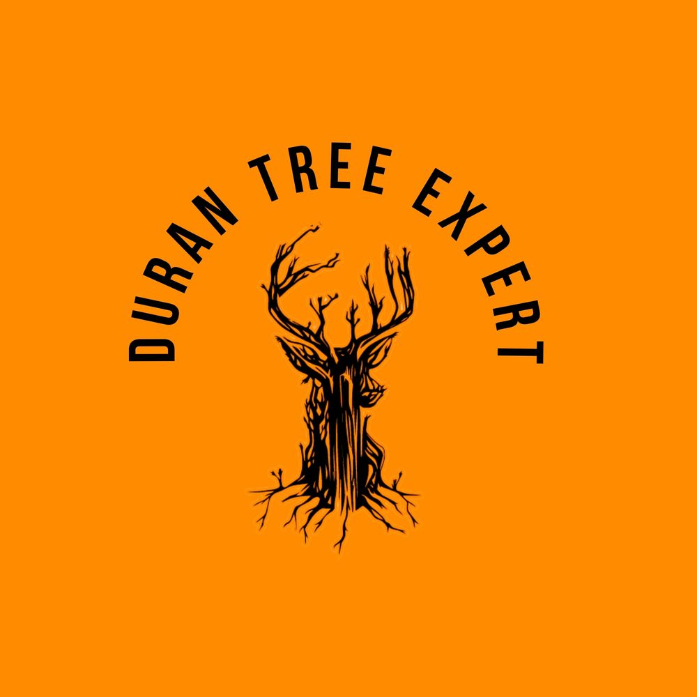 durantree.bsky.social