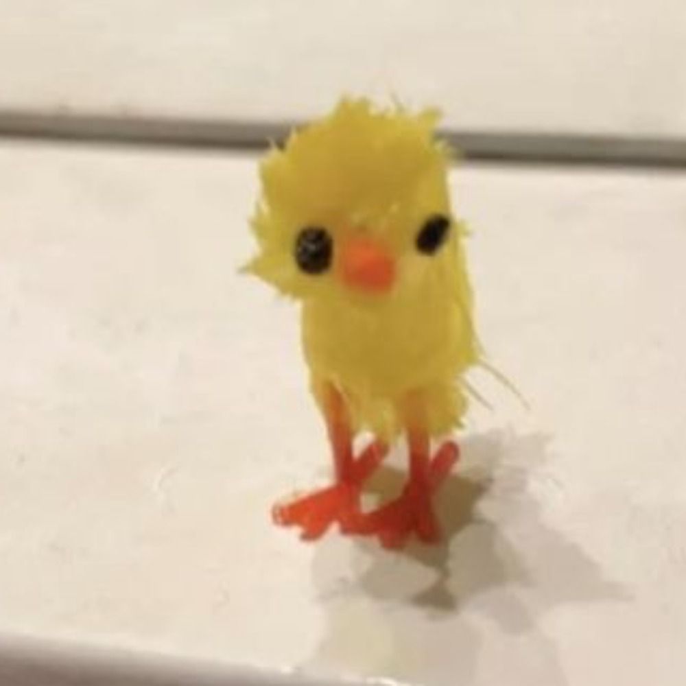 롤