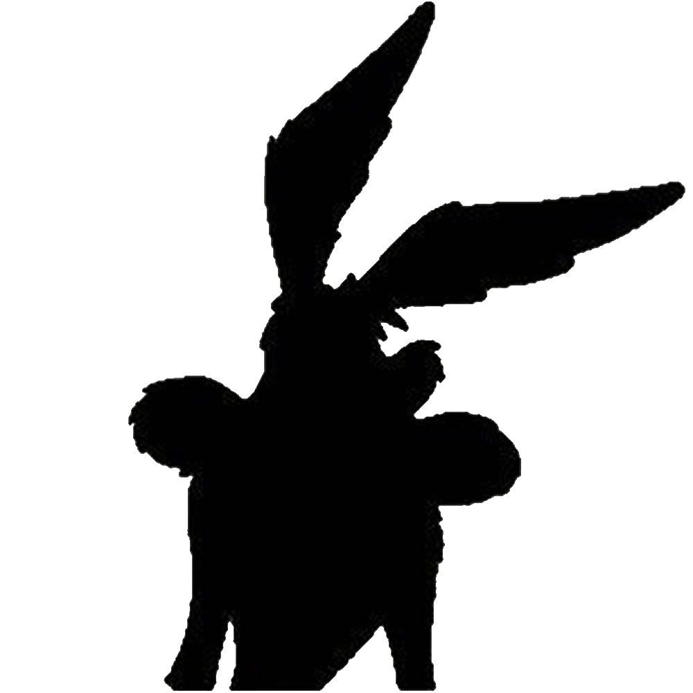 Wile E. Coyote