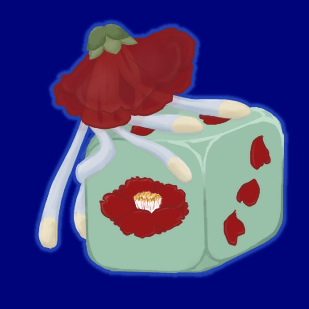 芳賀琉🪼