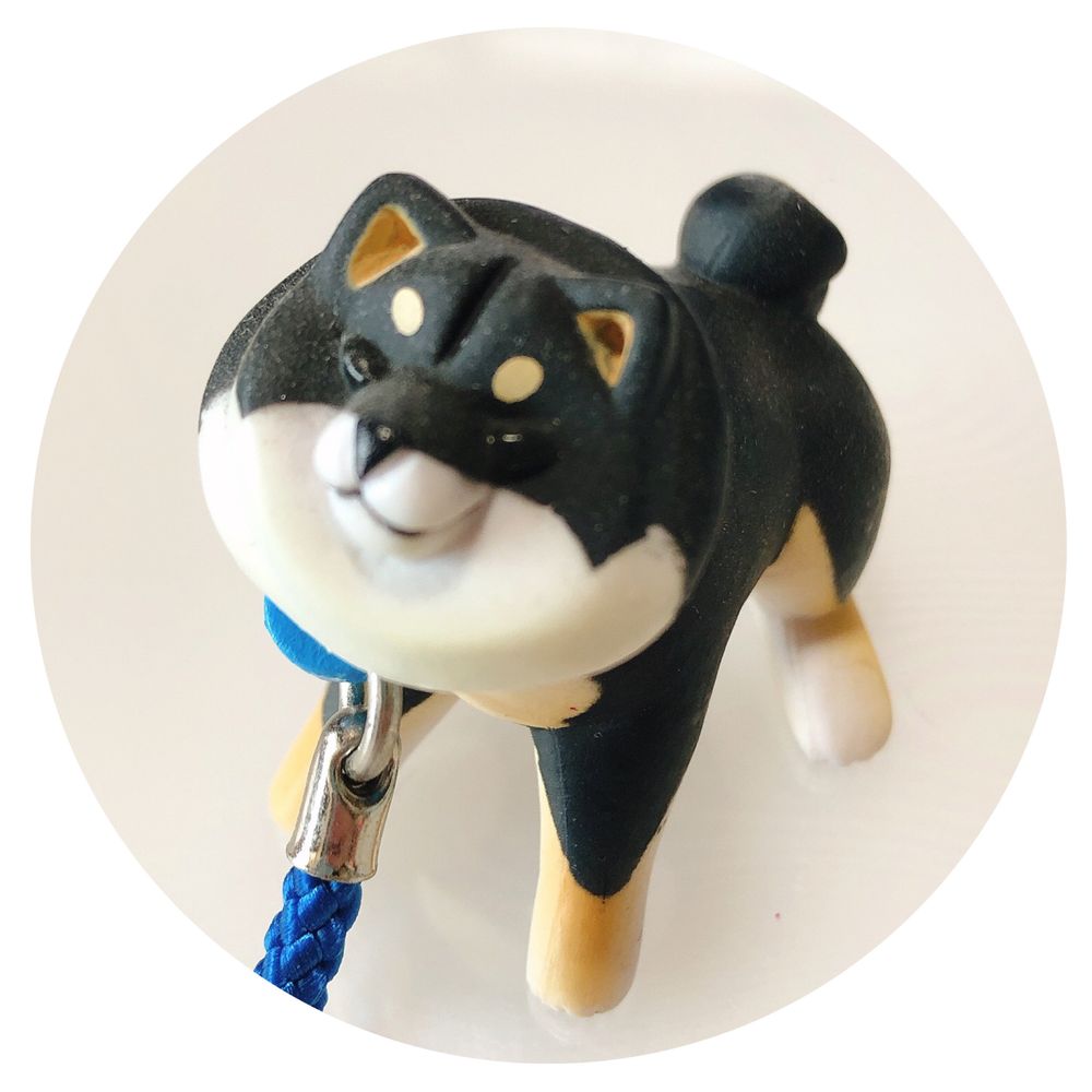 たれめ