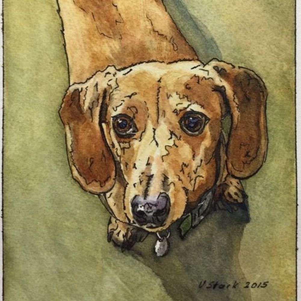 SM Faulkner
