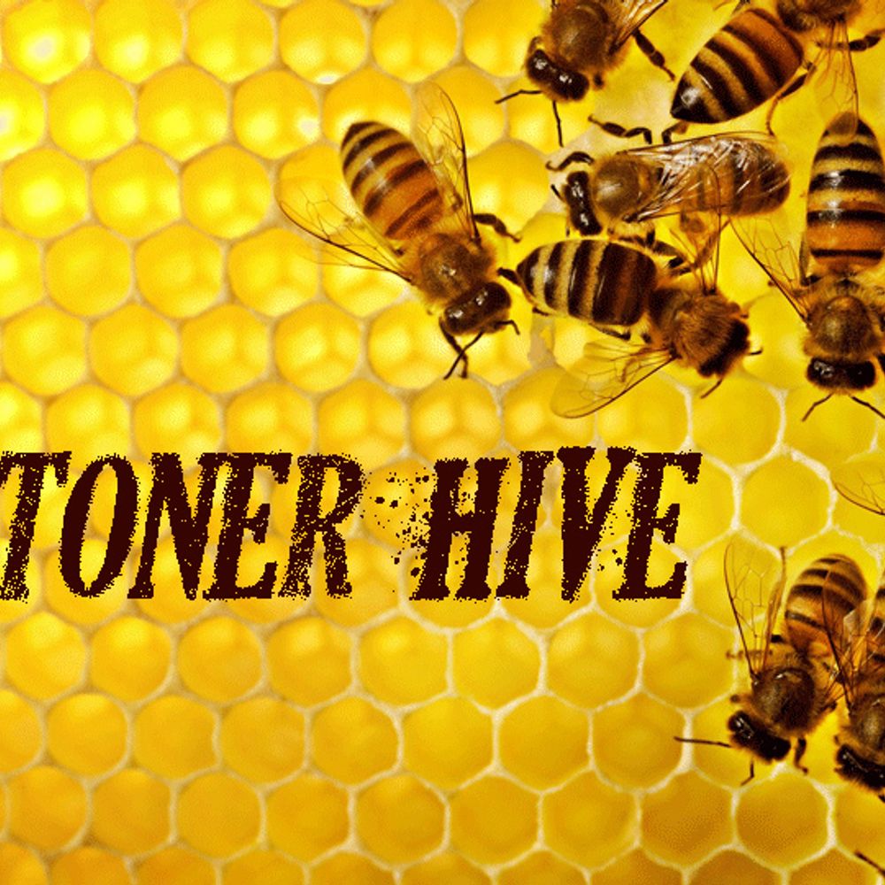 Stoner HiVe
