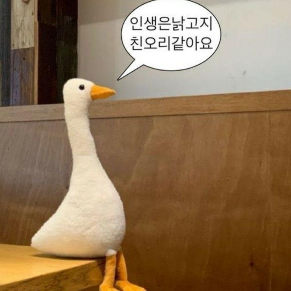 날린ᐛ