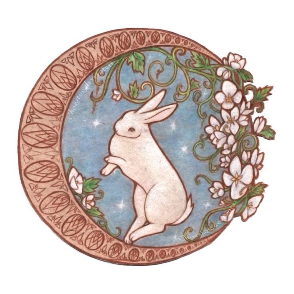 Bunny