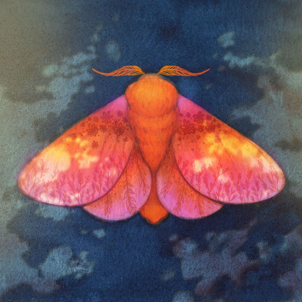 fi