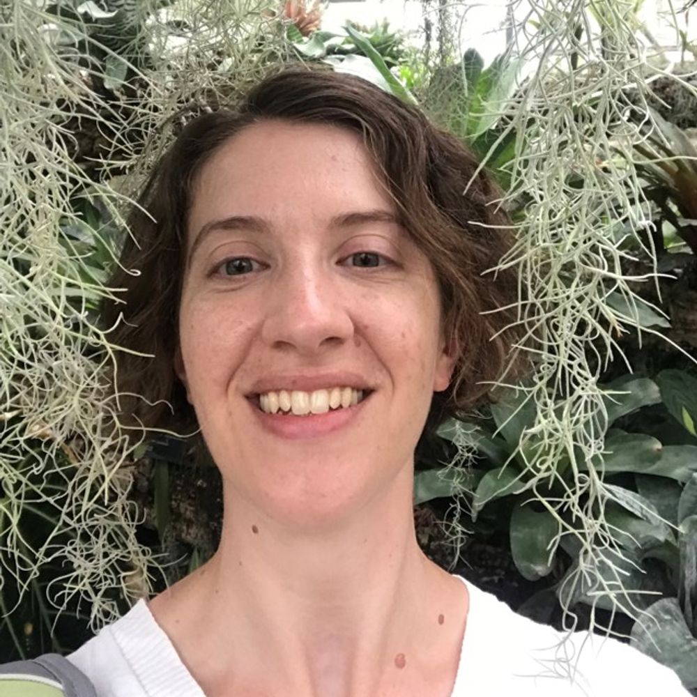 dr-storm.bsky.social