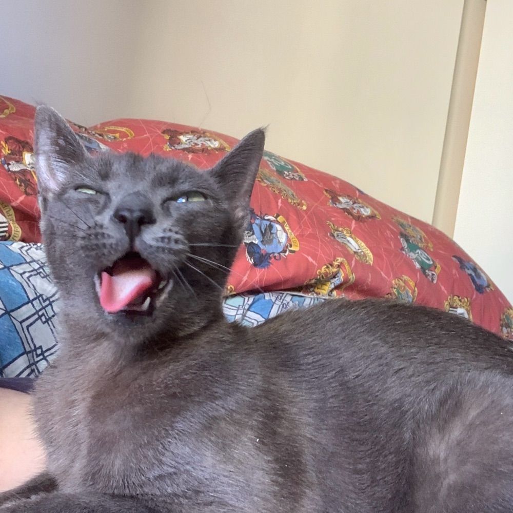  um pontinho azul no nada