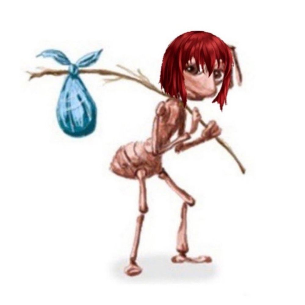 Oli
