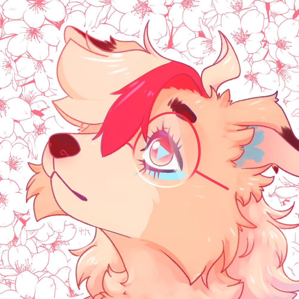 Pepper Collie🐾