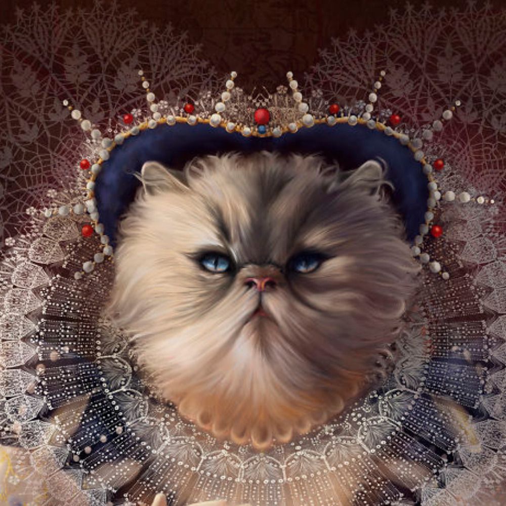 NomadiCat