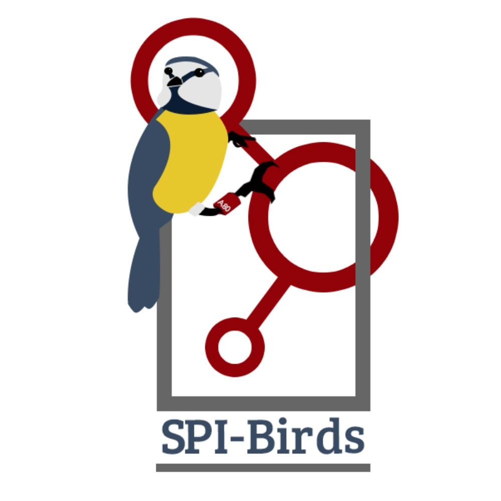 SPI-Birds