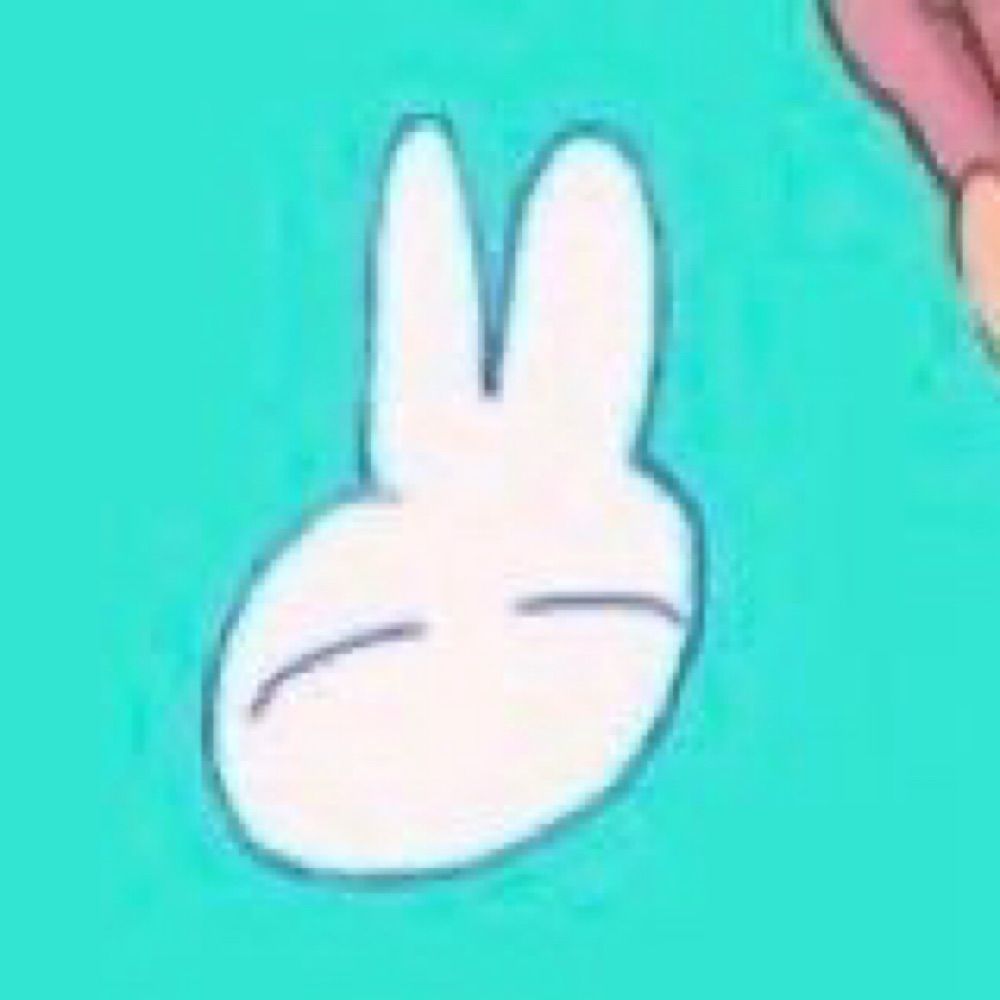 🐰