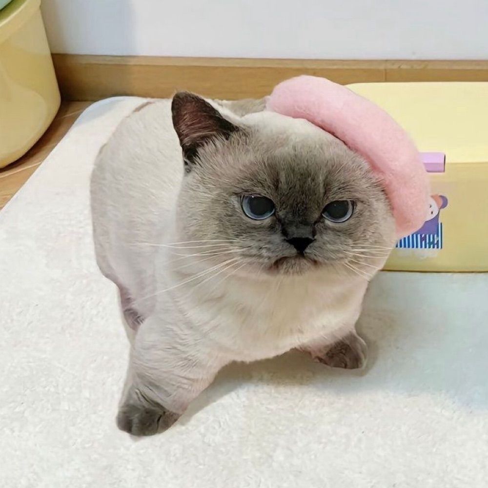 mimi cake