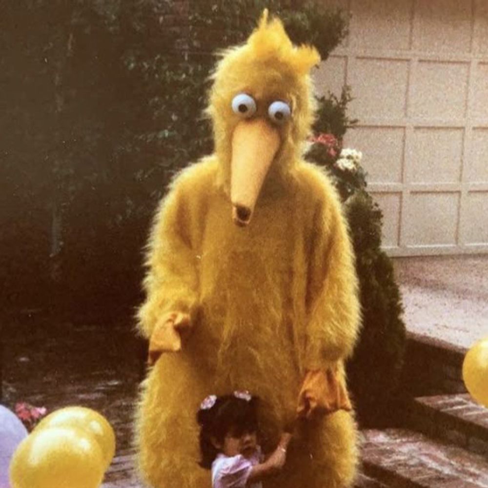 BIG CRACK BIRD