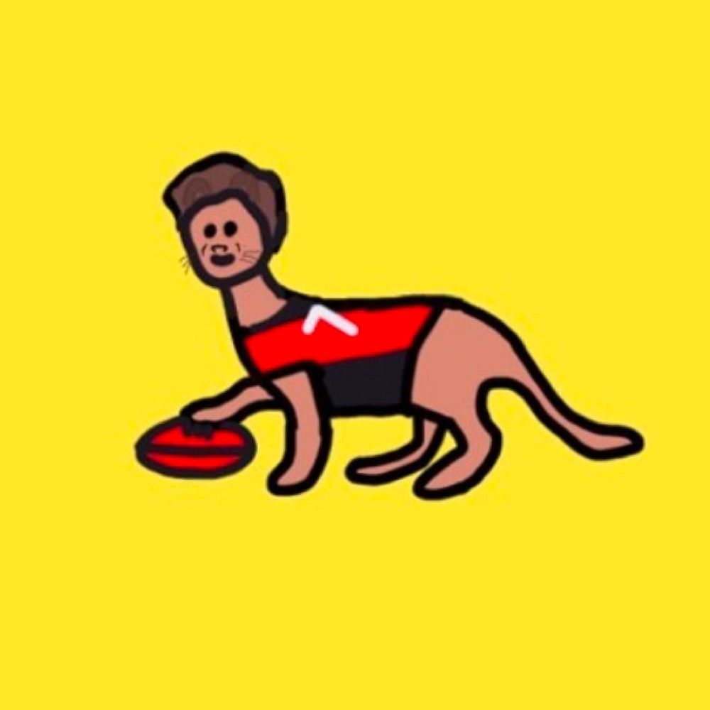 AFL Paint