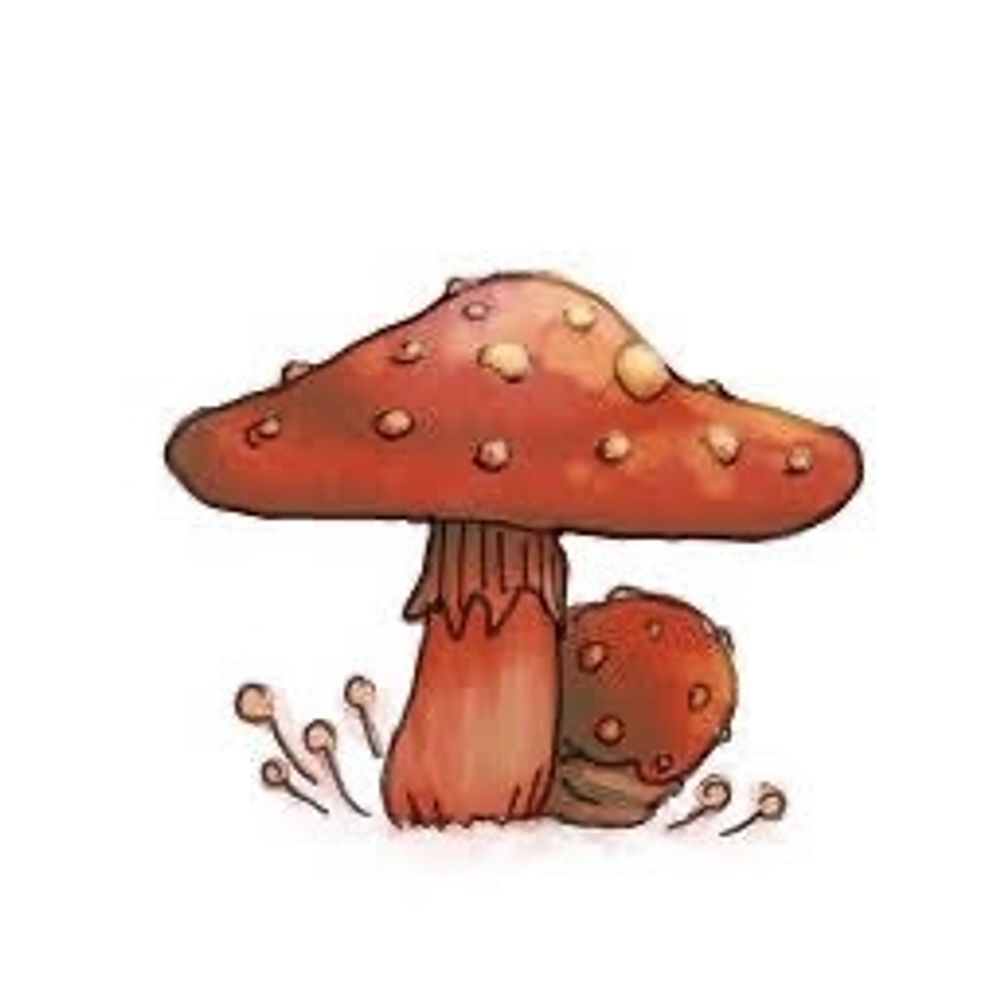 芋粥