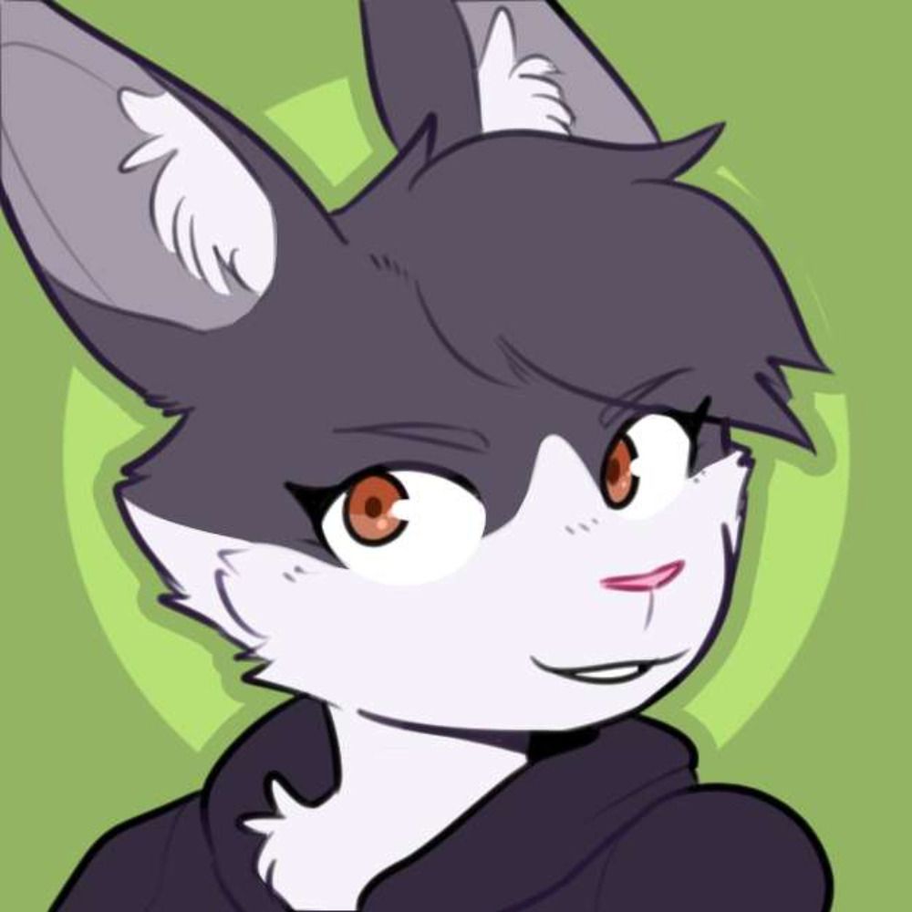 LapinPop 