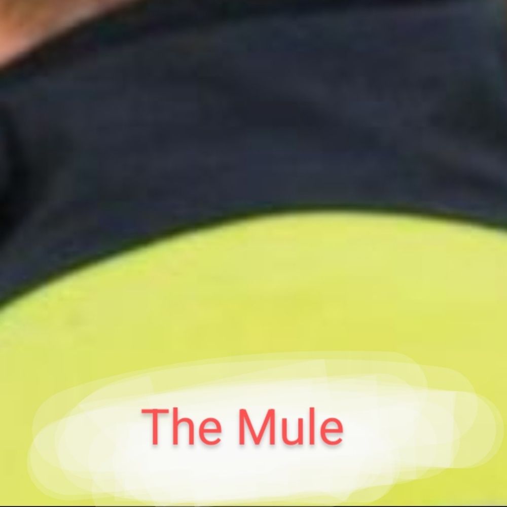 TheLocalMule