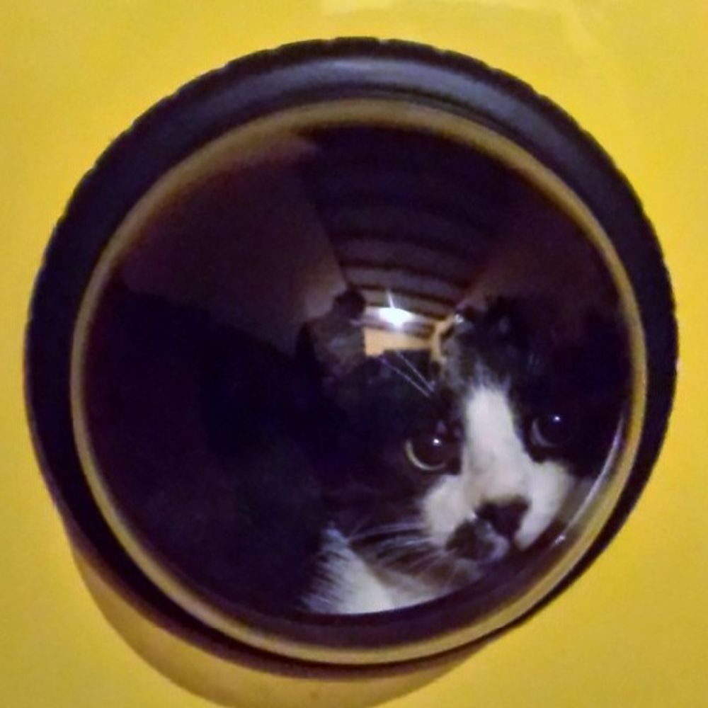More Catbell