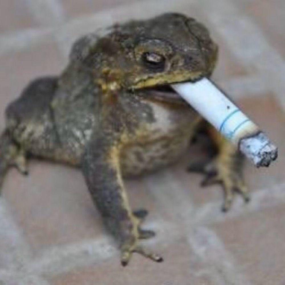 cunt fuckula