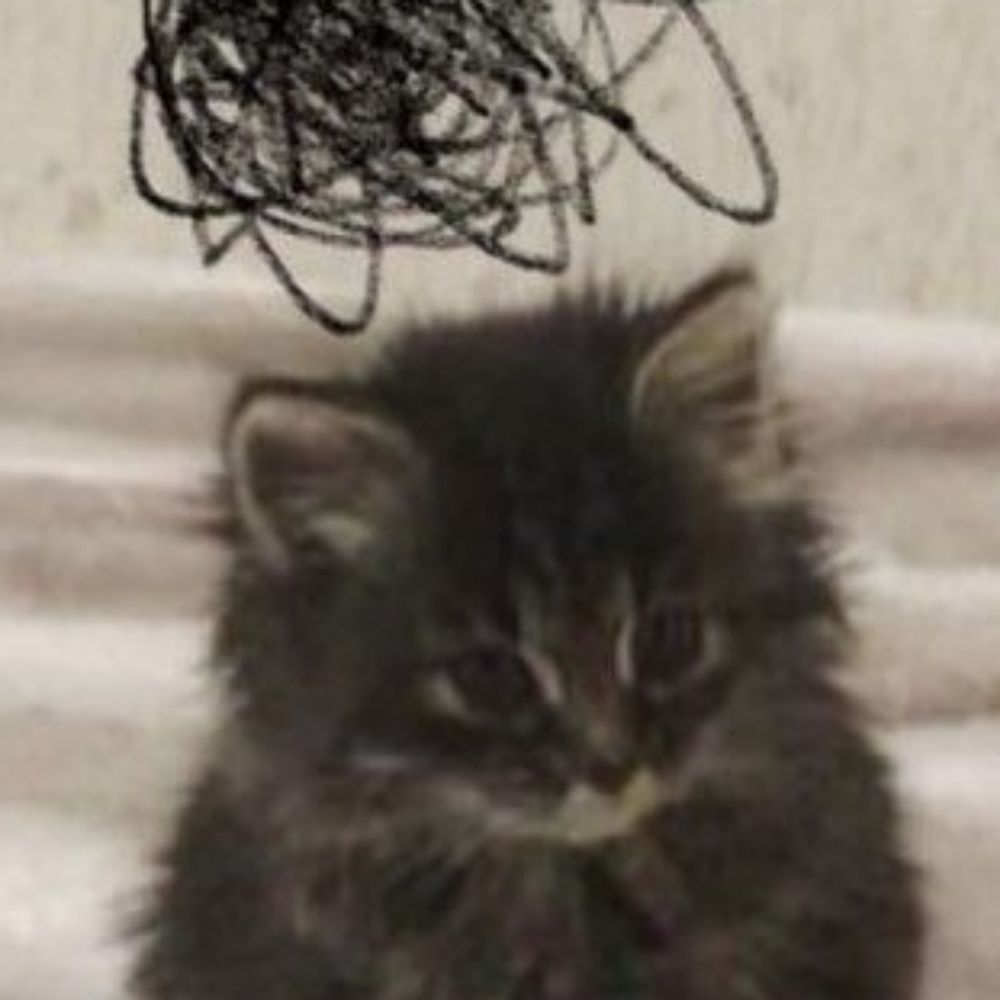 César Nillo :3