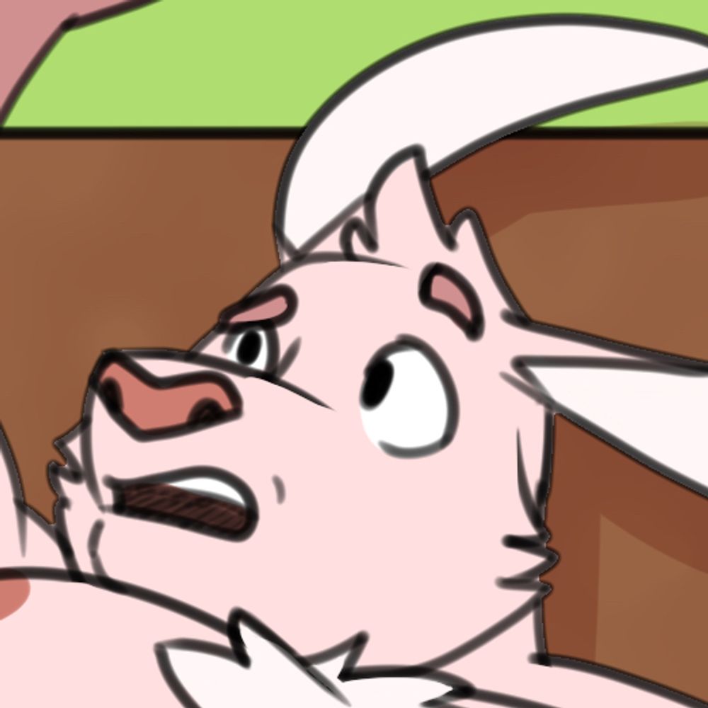 kangadroooo