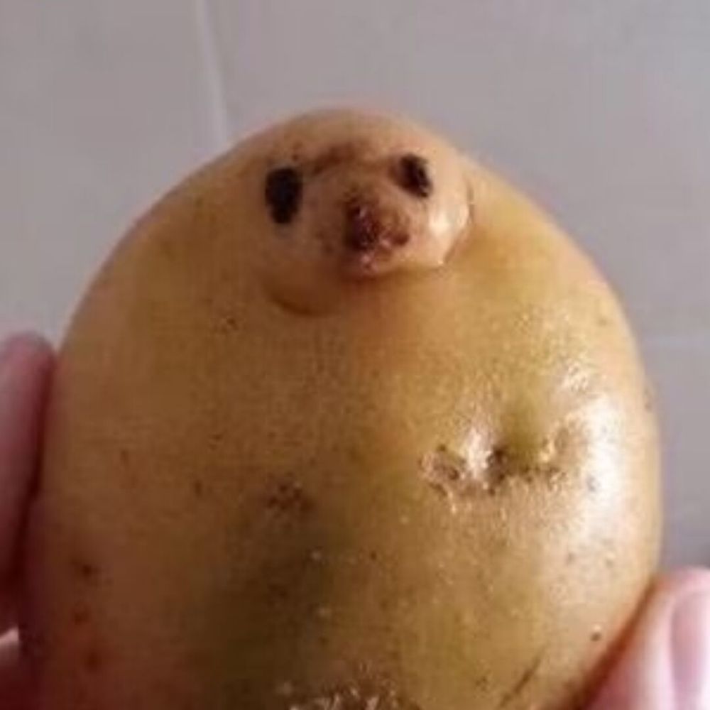 CZYJJJ
