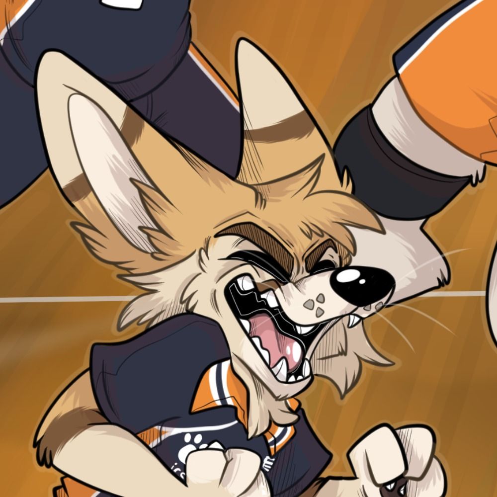 VolleyFurs Switzerland